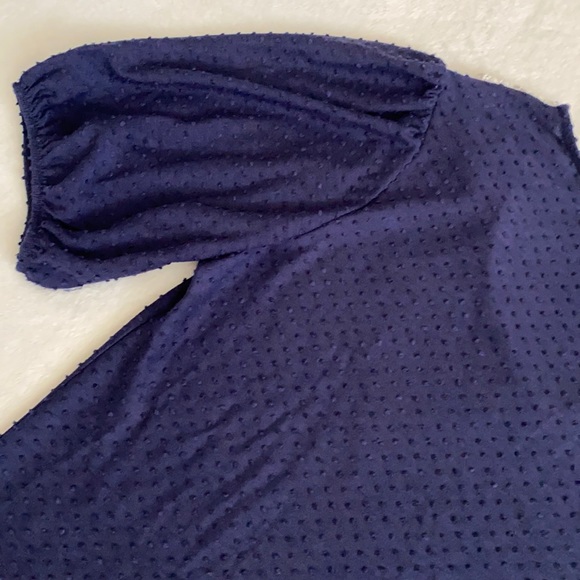 W5 | Pointed Scallop Bib Collar Swiss Dot Short Sleeve Blouse Top Blue/White (L) - Picture 11 of 14